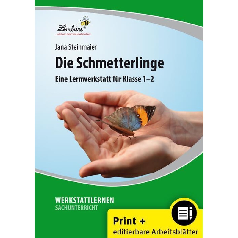 Die Schmetterlinge - Jana Steinmaier, Loseblatt von Lernbiene Verlag