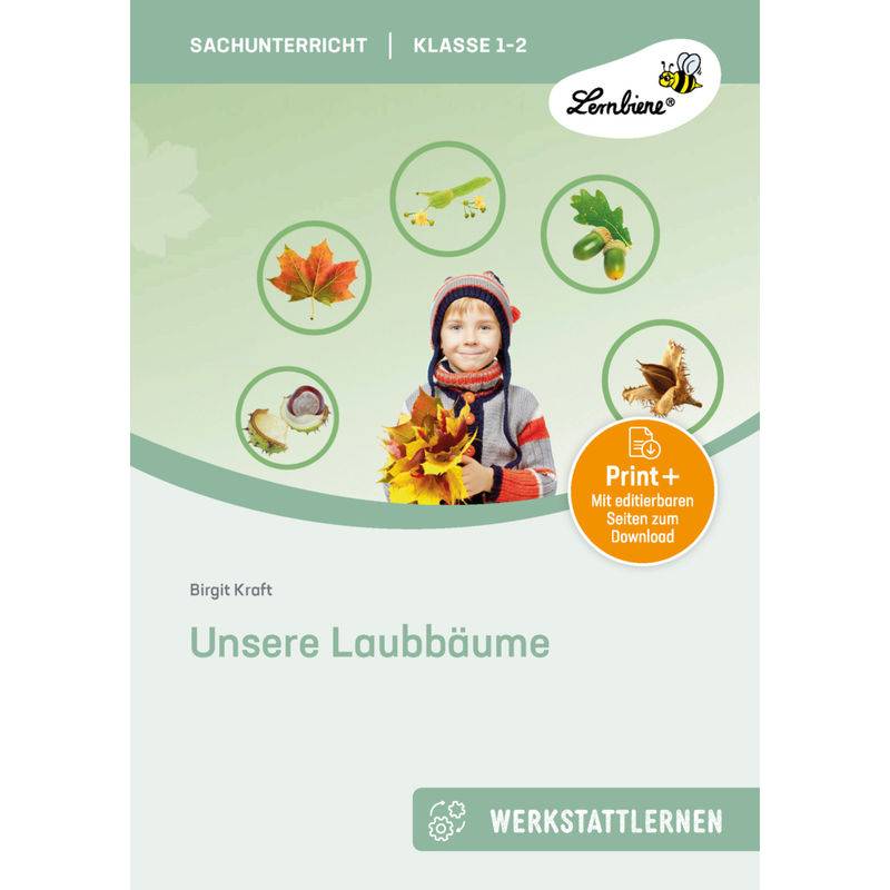 Unsere Laubbäume, M. 1 Beilage - Birgit Kraft, Gebunden von Lernbiene Verlag