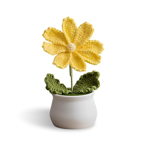 Künstliche Mini-Blumen, Gesang Häkelblumen, Handgemachte Strickblume für Home Office Desktop Ornament, Geschenk für Liebhaber oder Familie, Gesang Topf Dekoration Geschenke für Muttertag Künstliche Mini-Blumen, Gesang Häkelblumen, Handgemachte Strickblume für Home Office Desktop Ornament, Geschenk für Liebhaber oder Familie, Gesang Topf Dekoration Geschenke für Muttertag von Leseogye