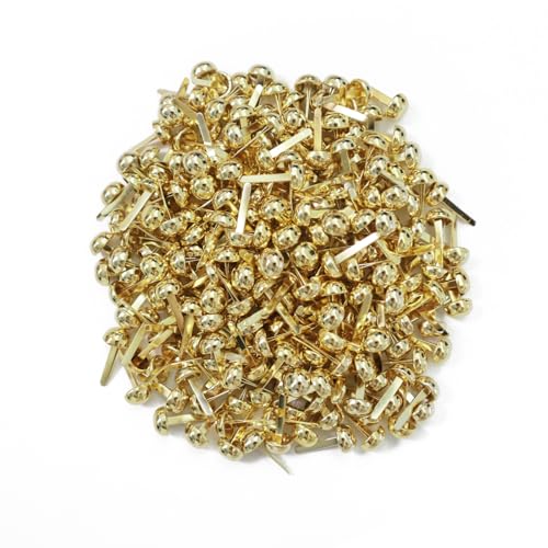 Leucasa 250 Stück Musterbeutelklammern 8X17mm Musterklammern Mini Brads Rundkopfklammern für Papierhandwerk, Kunsthandwerk, Kunstzubehör, Schul-DIY-Zubehör(Gold) von Leucasa