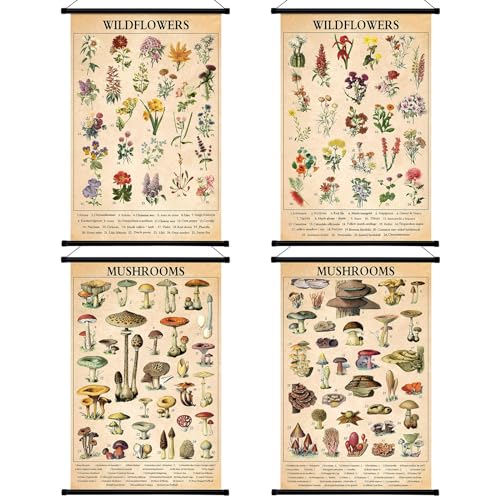 Lewtemi Vintage-Poster mit Pilz-Wildblumen, Pilz, Schmetterling, Baum, Wandbehang, Druck, Illustrative Referenztabelle, Poster für Klassenzimmer, Wohnzimmer, Dekoration, 39 x 60 cm Lewtemi Vintage-Poster mit Pilz-Wildblumen, Pilz, Schmetterling, Baum, Wandbehang, Druck, Illustrative Referenztabelle, Poster für Klassenzimmer, Wohnzimmer, Dekoration, 39 x 60 cm von Lewtemi