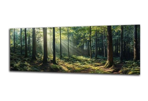 Diamond Painting Erwachsene Landschaft Diamond Painting Baum 5D DIY Full Drill Crystal Stickerei Malen Nach Zahlen Kinder Anfänger Mosaik Bastelset mit Zubehör, Home Wand Décor Geschenk 50x150 cm-z372 Diamond Painting Erwachsene Landschaft Diamond Painting Baum 5D DIY Full Drill Crystal Stickerei Malen Nach Zahlen Kinder Anfänger Mosaik Bastelset mit Zubehör, Home Wand Décor Geschenk 50x150 cm-z372 von Lezewege