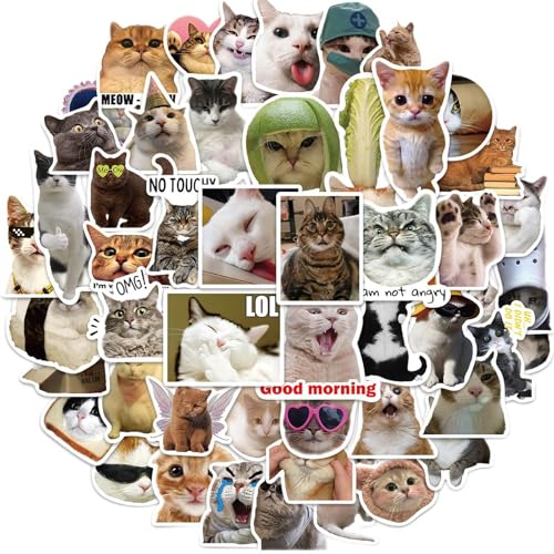 50pcs Katzen Aufkleber Kinder Belohnung Aufkleber Cartoon Tieraufkleber Für Wasserflasche Pen Hülle Journal Laptop Snowboard von LfrXtra