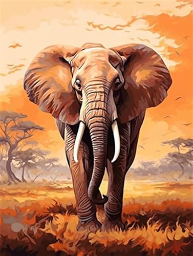Lfynior Stickset Kreuzstich Elefant 14CT Stickerei-Set 30cmX40cm Komplette Vorgedruckter Stick-Starter-Sets Stoff DIY Handarbeiten Lfynior Stickset Kreuzstich Elefant 14CT Stickerei-Set 30cmX40cm Komplette Vorgedruckter Stick-Starter-Sets Stoff DIY Handarbeiten von Lfynior