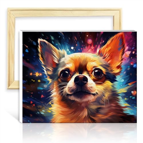 LiHEQING Malen nach Zahlen, Chihuahua-Hund mit Sternen, Ölgemälde-Set für Erwachsene und Anfänger, Leinwand, Wanddekoration für zu Hause, mit DIY-Rahmen (40 x 50 cm) von LiHEQING