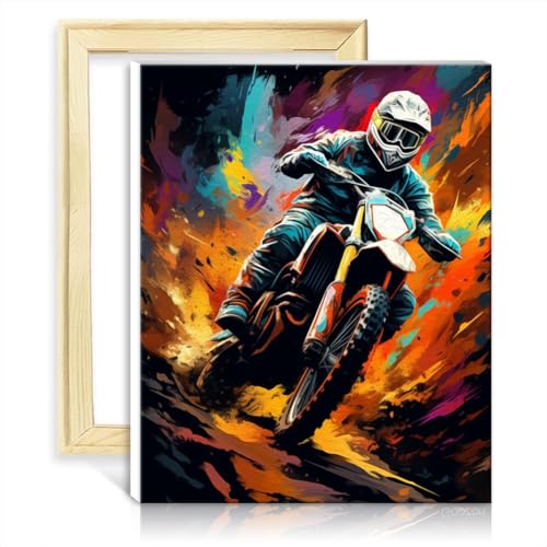 LiHEQING Malen nach Zahlen, Offroad-Motorräder, für Erwachsene, Malen nach Zahlen für Kinder, kreatives Kunstwerk für die Heimdekoration, ohne Rahmen (30 x 40 cm) von LiHEQING