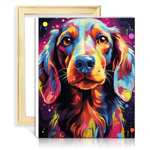 LiHEQING Malen nach Zahlen-Set, Dackel-Ölgemälde zum Selbermachen, digitales Kunstwerk für Schlafzimmer, Wohnzimmer, Dekoration, DIY-Rahmen (30 x 40 cm) von LiHEQING