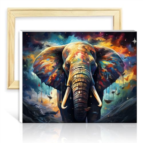 LiHEQING Malen nach Zahlen-Set, Sternenhimmel-Elefant, Malen nach Zahlen für Erwachsene, für Schlafzimmer, Wohnzimmer, Dekoration, ohne Rahmen (40 x 50 cm) von LiHEQING