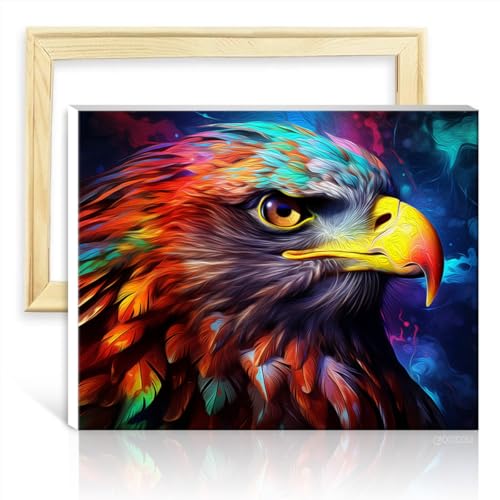LiHEQING Malen nach Zahlen für Erwachsene mit Sternenhimmel-Adler, mit Pinseln und Acrylfarbe auf Leinwand für Eltern-Kind-Zeit, ohne Rahmen (40 x 50 cm) von LiHEQING