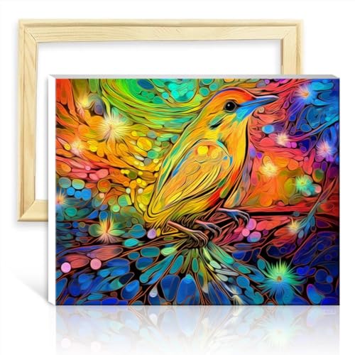 LiHEQING Malsets auf Leinwand, bunte Vögel, digitales Ölgemälde zum Selbermachen, für Erwachsene, kreative Kunstwerke für die Inneneinrichtung, ohne Rahmen (40 x 50 cm) von LiHEQING