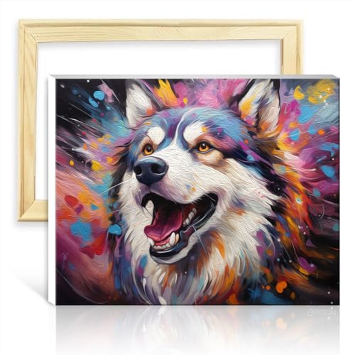 LiHEQING Ölgemälde, Malen nach Zahlen-Set, Husky-Gemälde, Malen nach Zahlen, Erwachsene, Anfänger, Bild für Heimdekoration, Geschenk, ohne Rahmen (40 x 50 cm) von LiHEQING