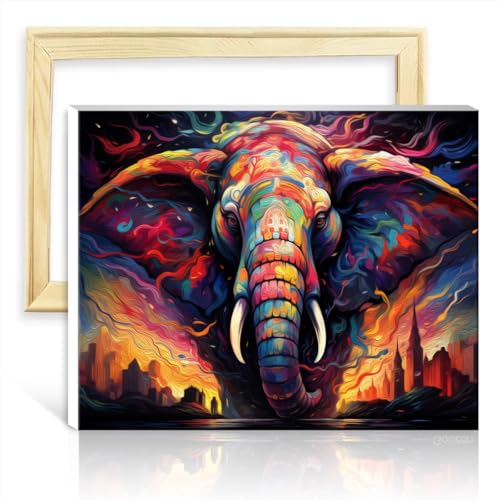 LiHEQING Ölgemälde-Set auf Leinwand, Sternenhimmel, Elefant, Malen nach Zahlen, für Erwachsene und Anfänger, Kunstwerk für die Heimdekoration, ohne Rahmen (40 x 50 cm) von LiHEQING
