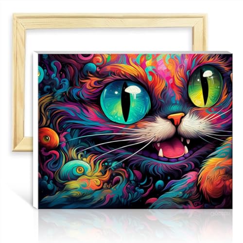 LiHEQING auf Leinwandgemälde, Alice-Katze, Graffiti, Ölgemälde-Set zum Selbermachen auf Leinwand, Kunst, Malen nach Zahlen für Erwachsene, ohne Rahmen (60 x 75 cm) von LiHEQING