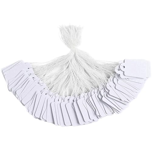 Preisschilder, 1000pcs Geschenkanhänger mit angeschlossener String, beschreibbare Waren, Hang -Markierung für Produktschmuckkleidung Preisschilder, 1000pcs Geschenkanhänger mit angeschlossener String, beschreibbare Waren, Hang -Markierung für Produktschmuckkleidung von Licsaliwe