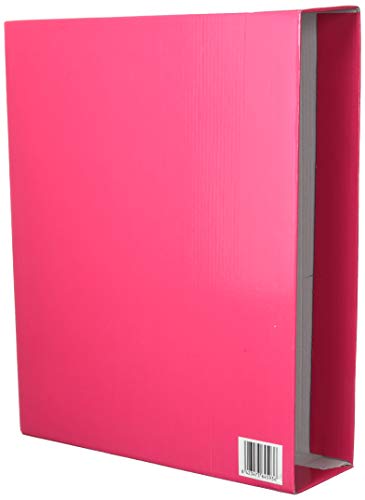 Liderpapel 64593 – Box Ordner von Liderpapel