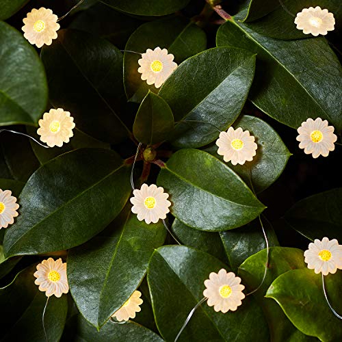 Lights4fun 20er LED Micro Lichterkette Gänseblümchen warmweiß Timer Batterie Innen- und Außenbeleuchtung Lights4fun 20er LED Micro Lichterkette Gänseblümchen warmweiß Timer Batterie Innen- und Außenbeleuchtung von Lights4fun
