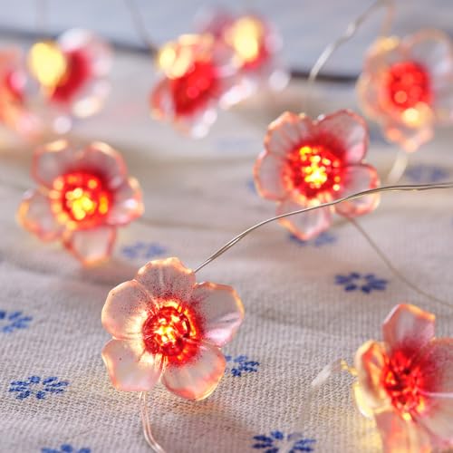 Lights4fun 20er Micro LED Lichterkette Blumen Sakura warmweiß Timer Batterie Innen- und Außenbeleuchtung Deko Blumen Lichterkette Innen Lichterkette Außen Lights4fun 20er Micro LED Lichterkette Blumen Sakura warmweiß Timer Batterie Innen- und Außenbeleuchtung Deko Blumen Lichterkette Innen Lichterkette Außen von Lights4fun