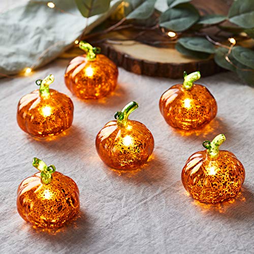 Lights4fun 6er Set LED Glas Kürbis Orange mini Kürbis mit Timer batteriebetrieben Halloween Deko Kürbis Herbstdeko Innen Kürbis Herbst Orange Herbstdeko Glas Deko Lights4fun 6er Set LED Glas Kürbis Orange mini Kürbis mit Timer batteriebetrieben Halloween Deko Kürbis Herbstdeko Innen Kürbis Herbst Orange Herbstdeko Glas Deko von Lights4fun