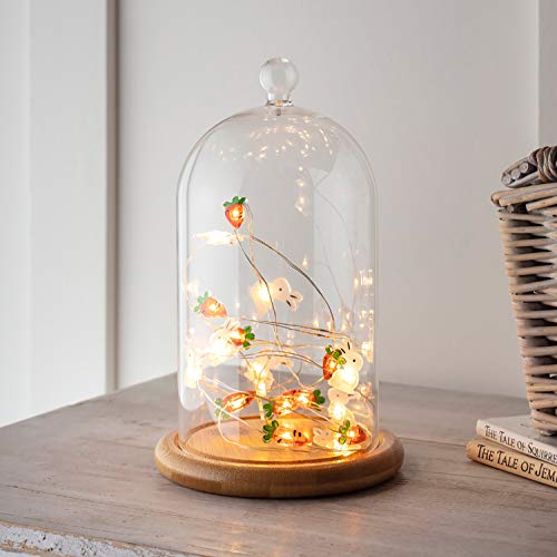 Lights4fun Glasglocke mit LED Micro Lichterkette Osterdeko Lights4fun Glasglocke mit LED Micro Lichterkette Osterdeko von Lights4fun