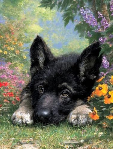5D DIY Hund schwarz Diamond Painting Quadratische Steine, Diamant Malerei Bilder Erwachsene, Kinder, Anfänger, Mosaik Bastelset, Cross Stickerei Set, für Wanddekoration, Haus Dekor 40x50cm C-269 von Liguolnn