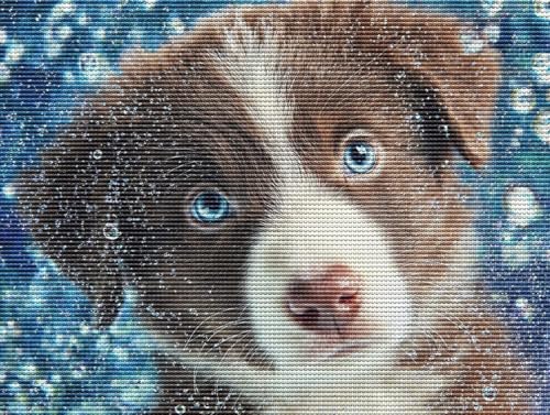 Diamond Painting Adulte Hundeblasen 5D Diamant Painting Erwachsene & Anfänger, DIY Full Drill Diamant Broderie kit, Home Decor Wandkunst Wohnzimmer Schlafzimmer Büro, Geschenke, 30x40cm D-249 Diamond Painting Adulte Hundeblasen 5D Diamant Painting Erwachsene & Anfänger, DIY Full Drill Diamant Broderie kit, Home Decor Wandkunst Wohnzimmer Schlafzimmer Büro, Geschenke, 30x40cm D-249 von Liguolnn