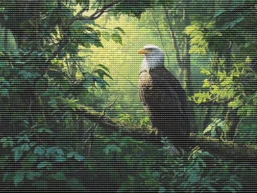 Liguolnn 5D Diamond Painting Set für Erwachsene & Kinder, Tier Adler DIY Diamant Malerei Bilder, Stickerei Mosaikherstellung, Heimdekoration Kreatives Geschenk Anfänger & Profis Zubehör 30x40cm C-195 Liguolnn 5D Diamond Painting Set für Erwachsene & Kinder, Tier Adler DIY Diamant Malerei Bilder, Stickerei Mosaikherstellung, Heimdekoration Kreatives Geschenk Anfänger & Profis Zubehör 30x40cm C-195 von Liguolnn