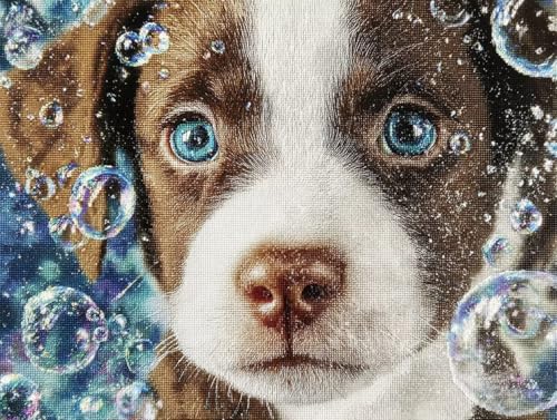 Liguolnn Hundeblasen Diamond Painting Quadratische Steine, 5D Diamond Kunst Komplett Set DIY Gem Kunsthandwerk für Erwachsene Anfänger, Mosaikherstellung Bilder Kristall Home Wall Decor 70x90cm D-278 von Liguolnn