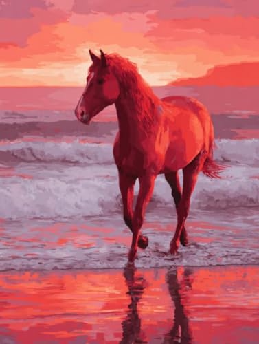 Liguolnn Strandpferde Diamond Painting Quadratische Steine, 5D Diamond Kunst Komplett Set DIY Gem Kunsthandwerk für Erwachsene Anfänger, Mosaikherstellung Bilder Kristall Home Wall Decor 70x90cm D-299 von Liguolnn