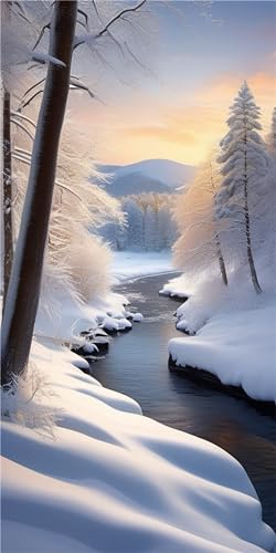 Diamond Painting Winterlandschaft 5D DIY Diamant Painting Bilder Erwachsene Diamond Painting Zubehör Malen Nach Zahlen Basteln Erwachsene Diamont Painting Deko für Weihnachten Home Decor(40x80cm)-7U von Lijahoo