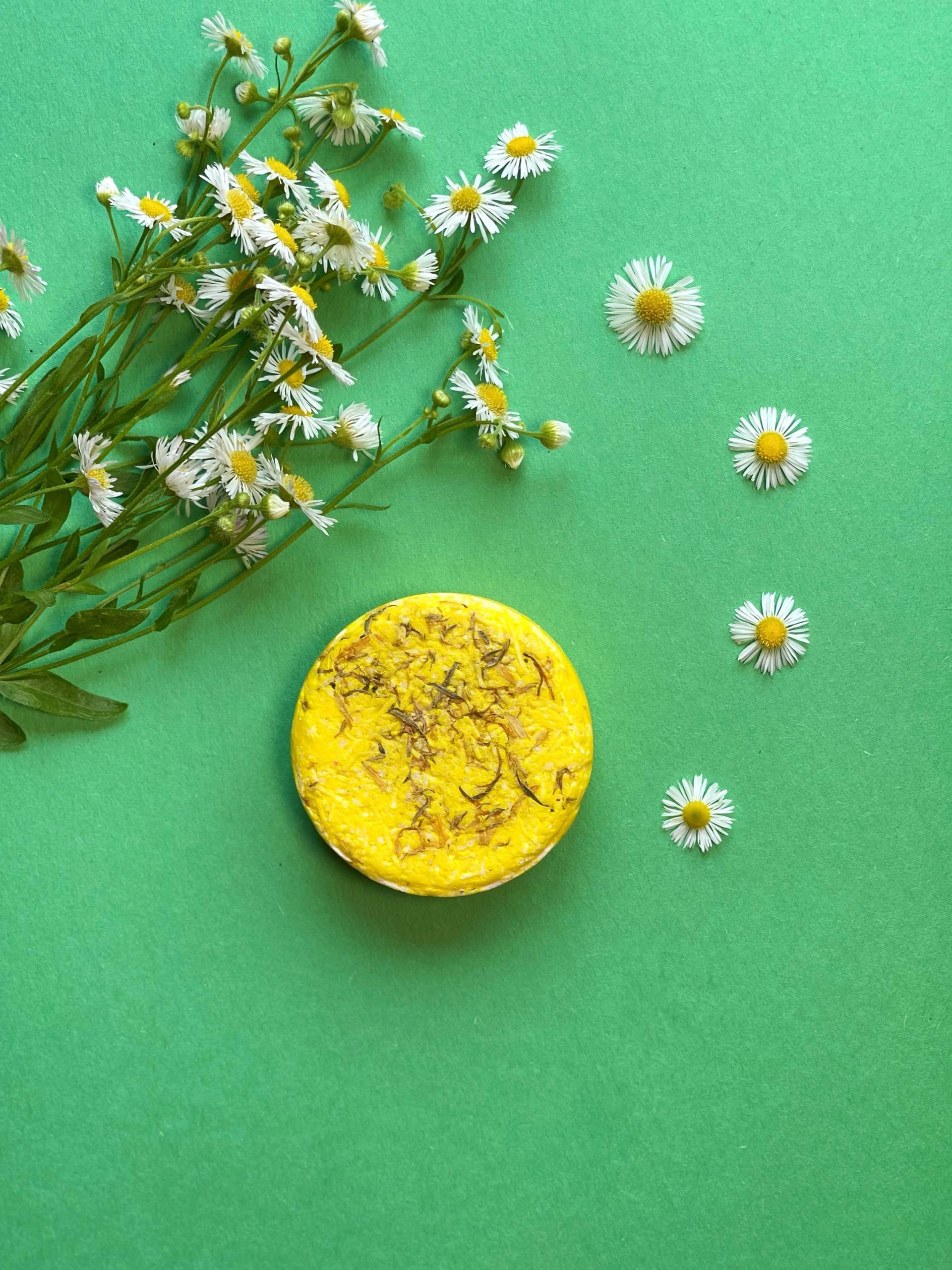 Chamomile Bio-Veganer Shampoo-Bar - Umweltfreundlich Zero Waste Plastikfrei Schönheit Und Aromatherapie Reisegröße Chamomile Bio-Veganer Shampoo-Bar - Umweltfreundlich Zero Waste Plastikfrei Schönheit Und Aromatherapie Reisegröße von LiluOrganic