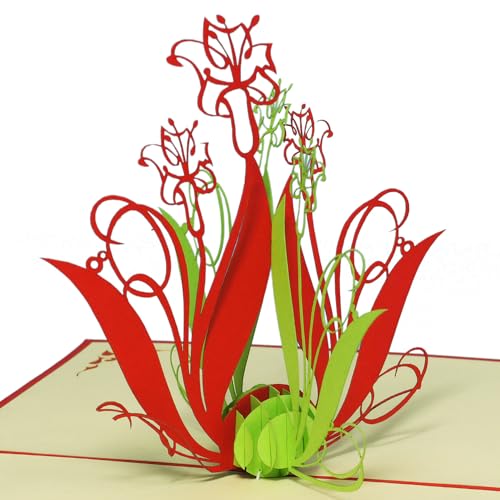 LINPopUp®, LIN17518, Pop Up Karte Blumen, 3D Karte Klappkarte Blumenstrauß, Geburtstagskarte, Muttertagskarte, Dankeskarten, Grußkarten Blumen, N40 von Lin