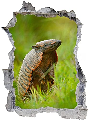 3D Look Wandtattoo Wand Durchbruch Wandbild Sticker Aufkleber Wandaufkleber Gürteltier Wandbild Wohnzimmer Schlafzimmer Kinderzimmer Deko 53x80cm 3D Look Wandtattoo Wand Durchbruch Wandbild Sticker Aufkleber Wandaufkleber Gürteltier Wandbild Wohnzimmer Schlafzimmer Kinderzimmer Deko 53x80cm von Linyuan