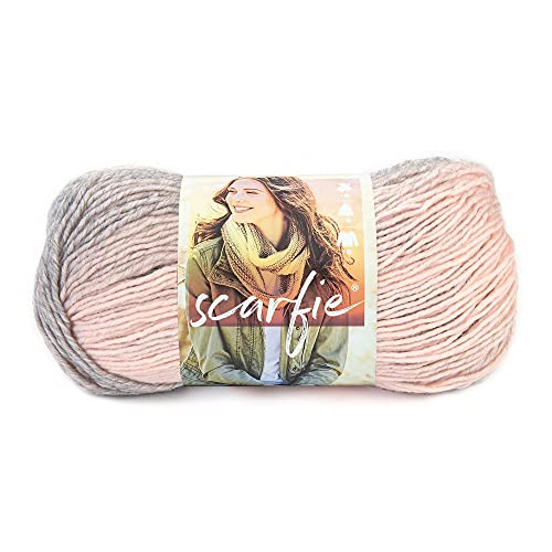 Lion Brand Yarn (1 Knäuel) „Scarfie“ voluminöser Garn, Pink/Silber von Lion Brand Yarn