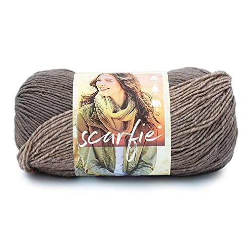 Lion Brand Yarn 826-231 Schal Garn, Acryl, Pilz/Rouge, 1 Pack, 936 Fuß Lion Brand Yarn 826-231 Schal Garn, Acryl, Pilz/Rouge, 1 Pack, 936 Fuß von Lion Brand Yarn