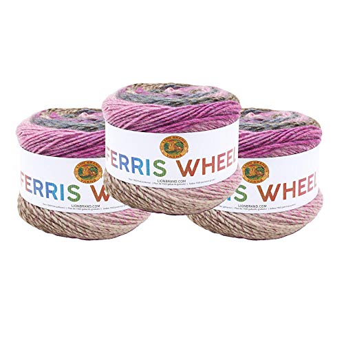 Lion Brand Yarn Riesenrad-Garn, mehrfarbiges Garn zum Stricken, Häkeln und Basteln, 3er-Pack, wilde Veilchen von Lion Brand Yarn