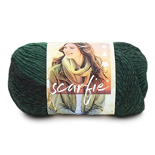 Lion Brand Yarn Scarfie - Strickgarn für Schals One Size Wald/Schwarz von Lion Brand Yarn