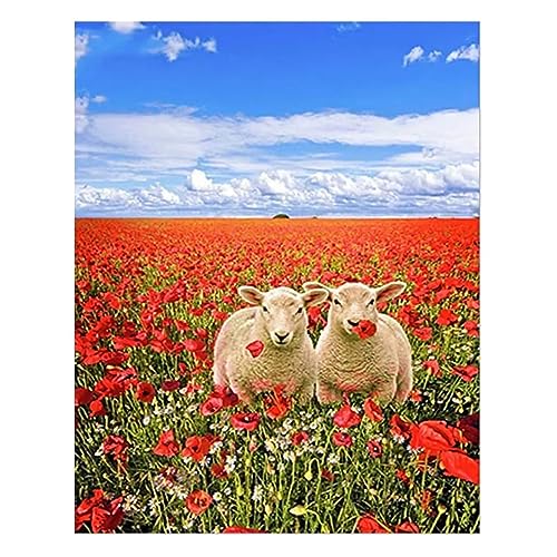 Diamond Painting für Erwachsene Rote Blume Schaf 5D DIY Diamant Painting Kits Full Drill Kreuzstich Stickbilder Kunst Leinwand Malen nach Zahlen für Geschenke,Wand,Wohnkultur 30x40cm Diamond Painting für Erwachsene Rote Blume Schaf 5D DIY Diamant Painting Kits Full Drill Kreuzstich Stickbilder Kunst Leinwand Malen nach Zahlen für Geschenke,Wand,Wohnkultur 30x40cm von 壱岐の華