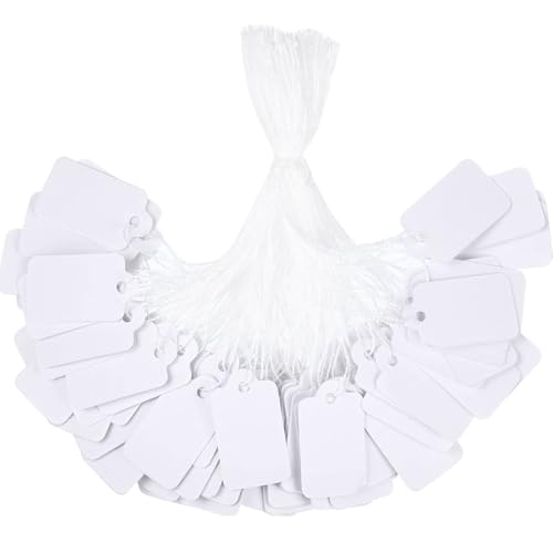 300 Stück kleine Preisschilder mit Schnur für Schmuck, Warenkennzeichnungsschilder, Displayetiketten für Schmuck, 3,5 x 2,2 cm, beschreibbare Hängeetiketten, Kleidung, Einzelhandel, Etikettierung, Ges 300 Stück kleine Preisschilder mit Schnur für Schmuck, Warenkennzeichnungsschilder, Displayetiketten für Schmuck, 3,5 x 2,2 cm, beschreibbare Hängeetiketten, Kleidung, Einzelhandel, Etikettierung, Ges von Litoott