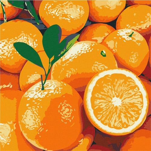 Lituor Frucht Orangen -Malen nach Zahlen für Erwachsene,DIY Handgemalt Ölgemälde-Set auf Leinwand mit Pinseln und Acrylpigment für Kinder Anfänger Kunst für Heimdekoration Geschenk mit Rahmen,30x30cm Lituor Frucht Orangen -Malen nach Zahlen für Erwachsene,DIY Handgemalt Ölgemälde-Set auf Leinwand mit Pinseln und Acrylpigment für Kinder Anfänger Kunst für Heimdekoration Geschenk mit Rahmen,30x30cm von Lituor
