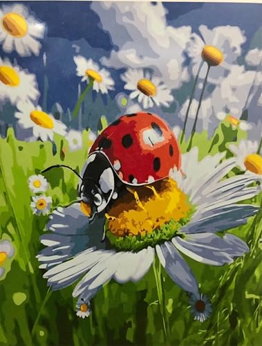 Malen nach Zahlen Erwachsene,Gänseblümchen Marienkäfer Malen Nach Zahlen Set Kinder Anfänger DIY Ölgemälde Kits auf Leinwand mit Pinseln und Acrylpigment ohne Rahmen für Home Wall Decor 30x40cm Malen nach Zahlen Erwachsene,Gänseblümchen Marienkäfer Malen Nach Zahlen Set Kinder Anfänger DIY Ölgemälde Kits auf Leinwand mit Pinseln und Acrylpigment ohne Rahmen für Home Wall Decor 30x40cm von Lituor