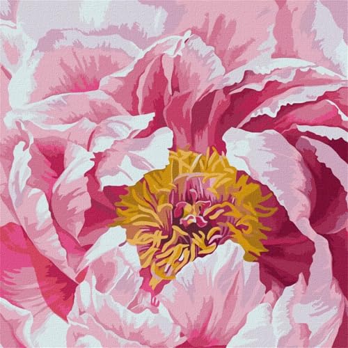 Malen nach Zahlen Erwachsene,Rosa Pfingstrose Malen Nach Zahlen Set für Kinder Anfänger DIY Digital Ölgemälde Kits auf Leinwand mit Pinseln und Acrylpigment ohne Rahmen für Home Wall Decor 40x40cm Malen nach Zahlen Erwachsene,Rosa Pfingstrose Malen Nach Zahlen Set für Kinder Anfänger DIY Digital Ölgemälde Kits auf Leinwand mit Pinseln und Acrylpigment ohne Rahmen für Home Wall Decor 40x40cm von Lituor