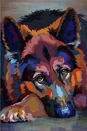 Malen nach Zahlen Erwachsene,Schäferhund Tier DIY Digital Ölgemälde Kits für Kinder Anfänger auf Leinwand mit Pinseln und Acrylpigment Ohne Rahmen für Home Wall Decor 45x60cm von Lituor