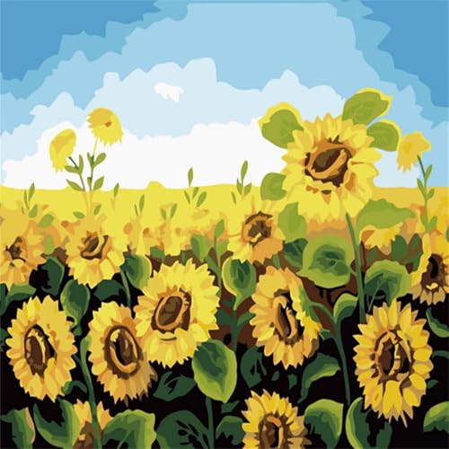 Malen nach Zahlen Erwachsene,Sonnenblumenfeld Malen Nach Zahlen Set für Kinder Anfänger DIY Digital Ölgemälde Kits auf Leinwand mit Pinseln und Acrylpigment ohne Rahmen für Home Wall Decor 70x70cm von Lituor