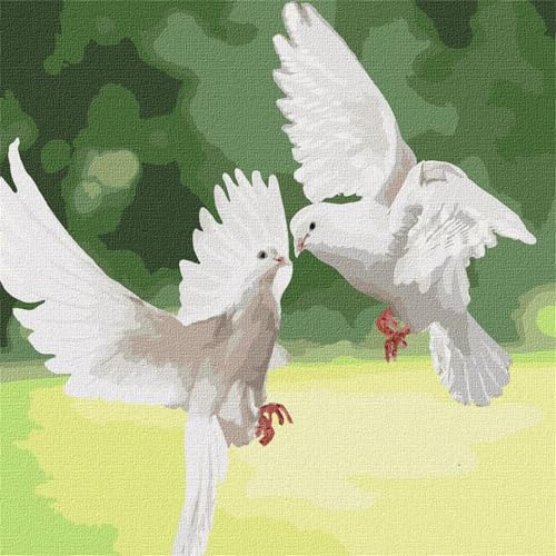 Malen nach Zahlen Erwachsene,Tauben Vögel Malen Nach Zahlen Set für Kinder Anfänger DIY Digital Ölgemälde Kits auf Leinwand mit Pinseln und Acrylpigment ohne Rahmen für Home Wall Decor 30x30cm Malen nach Zahlen Erwachsene,Tauben Vögel Malen Nach Zahlen Set für Kinder Anfänger DIY Digital Ölgemälde Kits auf Leinwand mit Pinseln und Acrylpigment ohne Rahmen für Home Wall Decor 30x30cm von Lituor
