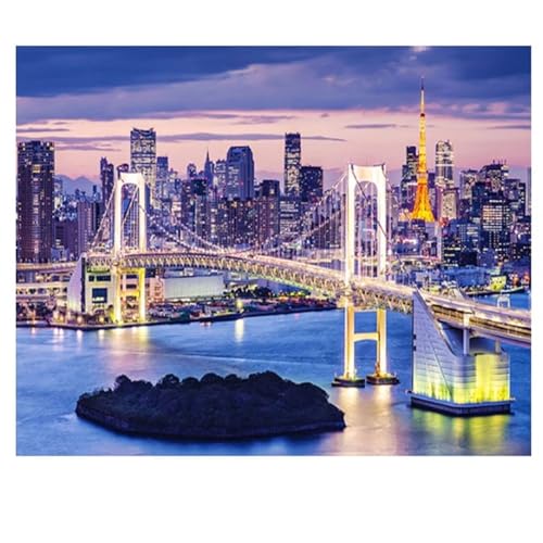 Regenbogenbrücke New York Diamond Painting Erwachsene Kits,Vierkant DIY 5D Diamond Painting Bilder,Strass Kunst Kits Malen Nach Zahlen Voll Cross Stickerei Malerei Kits für Home Wand Décor 50x70cm von Lituor