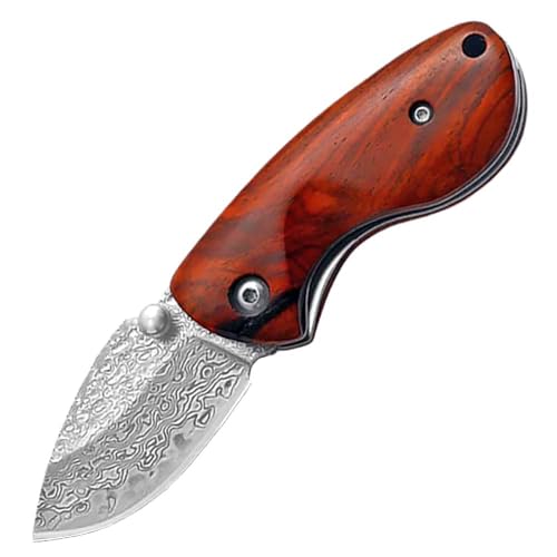 Lius Group Damast Taschenmesser, Klein Klappmesser, Mini Damaszener Messer Tanto, Damaststahl Klinge, Holzgriff, Outdoor EDC Messer survival, scharfes Einhandmesser, Geschenk für männer Lius Group Damast Taschenmesser, Klein Klappmesser, Mini Damaszener Messer Tanto, Damaststahl Klinge, Holzgriff, Outdoor EDC Messer survival, scharfes Einhandmesser, Geschenk für männer von Lius Group