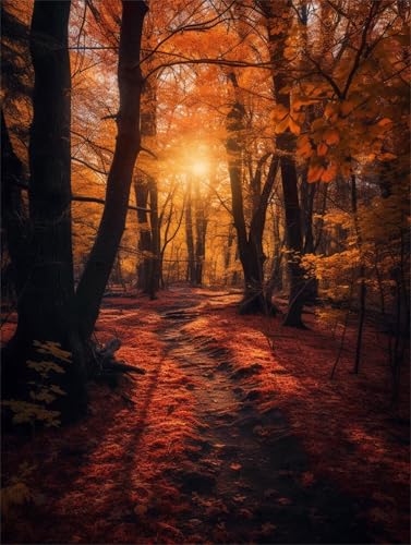 Diamond Painting Wald Landschaft Diamant Painting Bilder 5D Diamond Kunst Malerei Kristall Kunst Basteln Set, Geeignet Erwachsene Kinder Entspannung, für Geschenk Zuhause Wanddekoration 80x100cm b-906 von Liutuedy