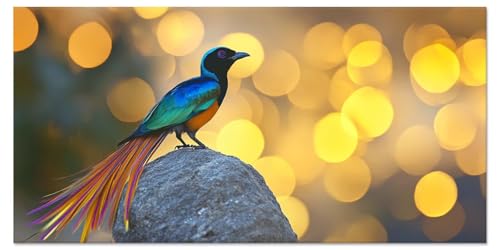 Malen Nach Zahlen Erwachsene Tier Malen Nach Zahlen Kinder ab 5 6 8 9 10 Vogel Diy set Basteln Erwachsene Kreativ Bastelset Mädchen 7 Jahre Acrylfarben Cheerful Painting 35x70cm Ohne Rahmen u-4275 Malen Nach Zahlen Erwachsene Tier Malen Nach Zahlen Kinder ab 5 6 8 9 10 Vogel Diy set Basteln Erwachsene Kreativ Bastelset Mädchen 7 Jahre Acrylfarben Cheerful Painting 35x70cm Ohne Rahmen u-4275 von Liutuedy