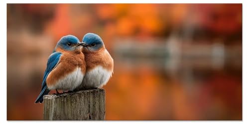 Malen Nach Zahlen Tier Malen Nach Zahlen Kinder ab 5 Diy Set Erwachsene Kreativ Bastelset Mädchen 7 Jahre Vogel Leinwand Cheerful Painting Acrylfarben Ölgemälde Home Decor 60x120cm Ohne Rahmen u-4268 von Liutuedy