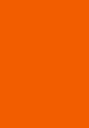 50 Blatt farbiges Druckerpapier 160g/m² / buntes Kopierpapier / Farbe: orange von Livepac Office
